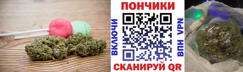 Canna-Cookies конопля  где продают   Гай 